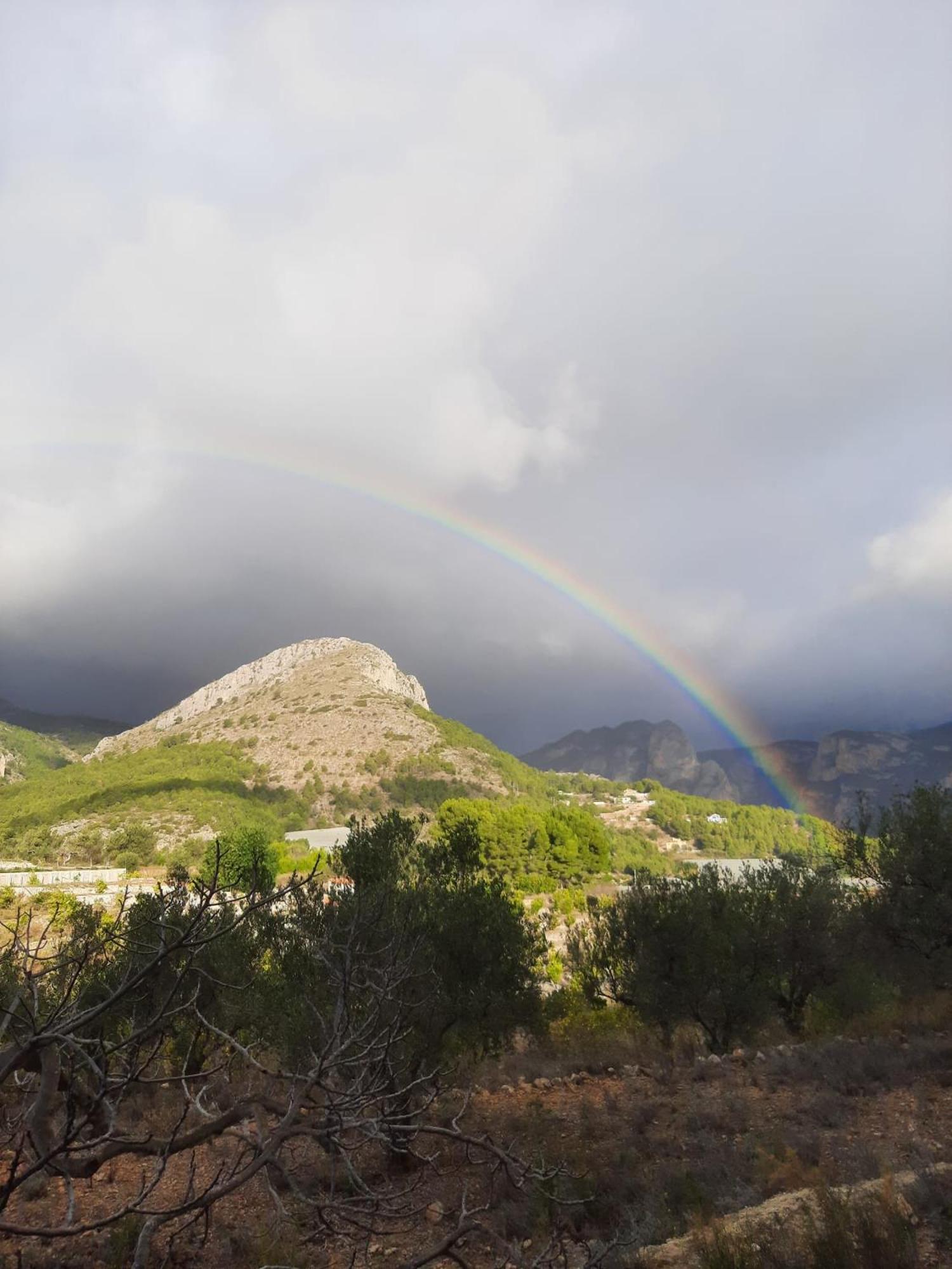 Finca Oliva Bolulla Exteriér fotografie