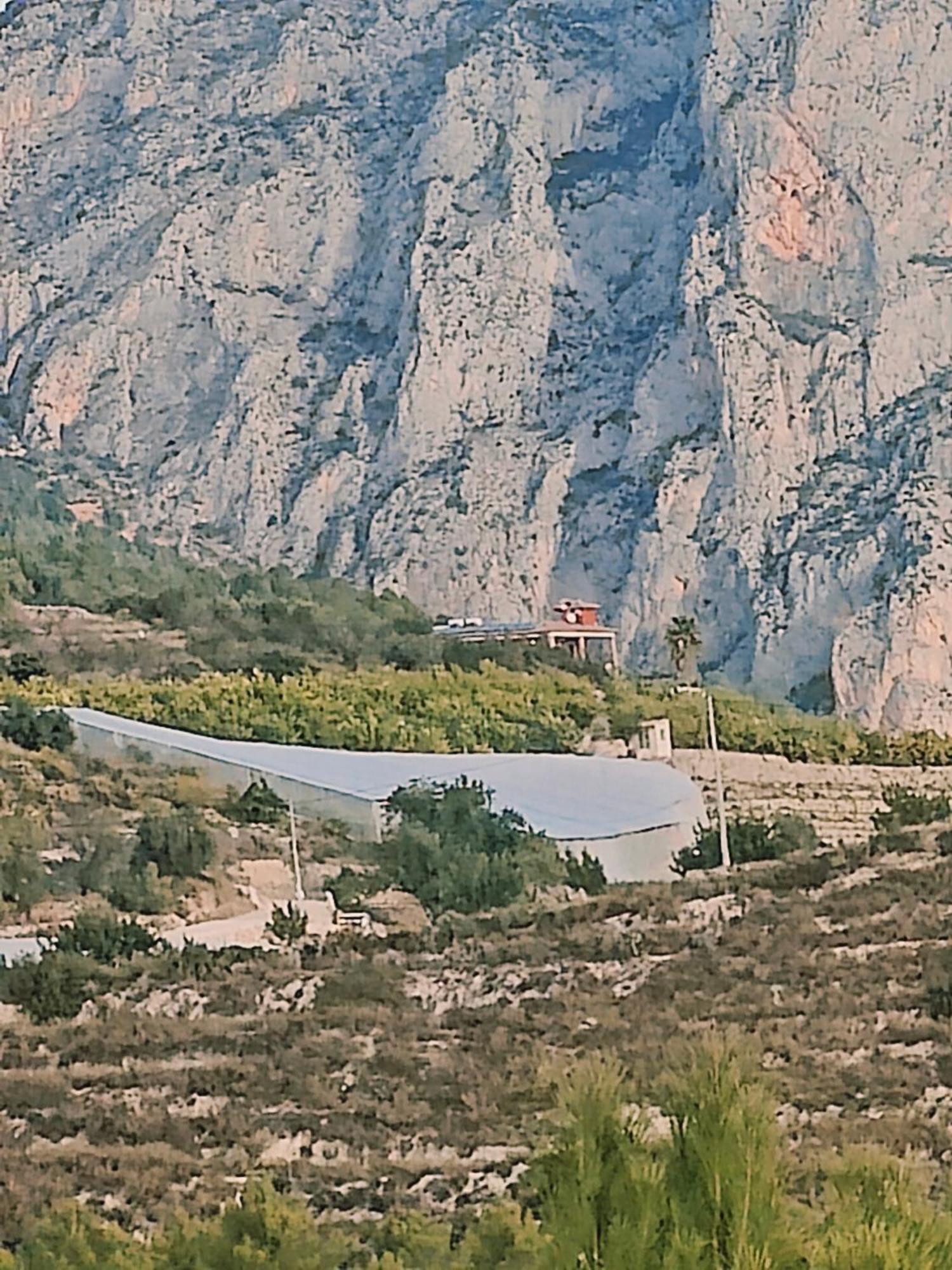 Finca Oliva Bolulla Exteriér fotografie